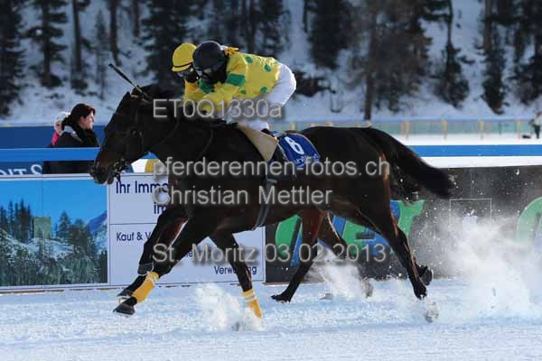 ET0Q1330a prot